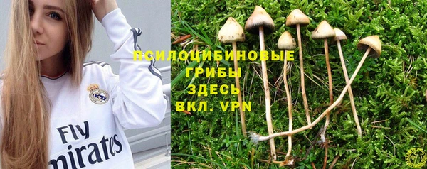 синтетический гашиш Володарск