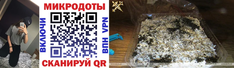 где найти наркотики  Орехово-Зуево  Псилоцибиновые грибы Psilocybe 